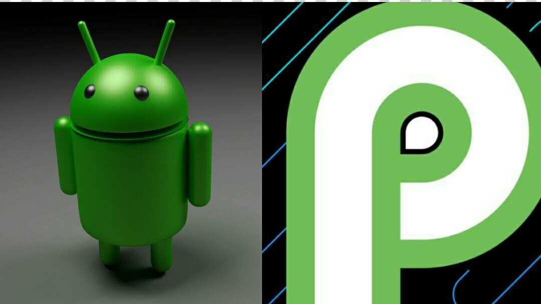 How to download android p and install