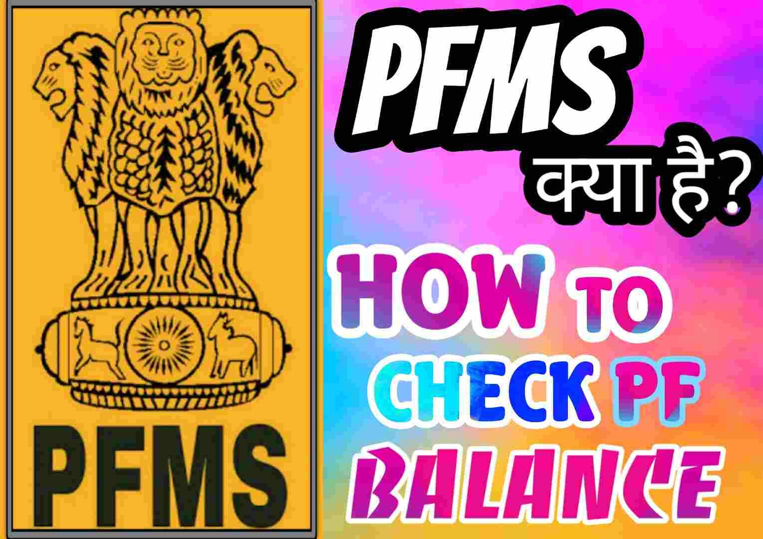 PFMS क्या है - How to Check PFMS Balance ?